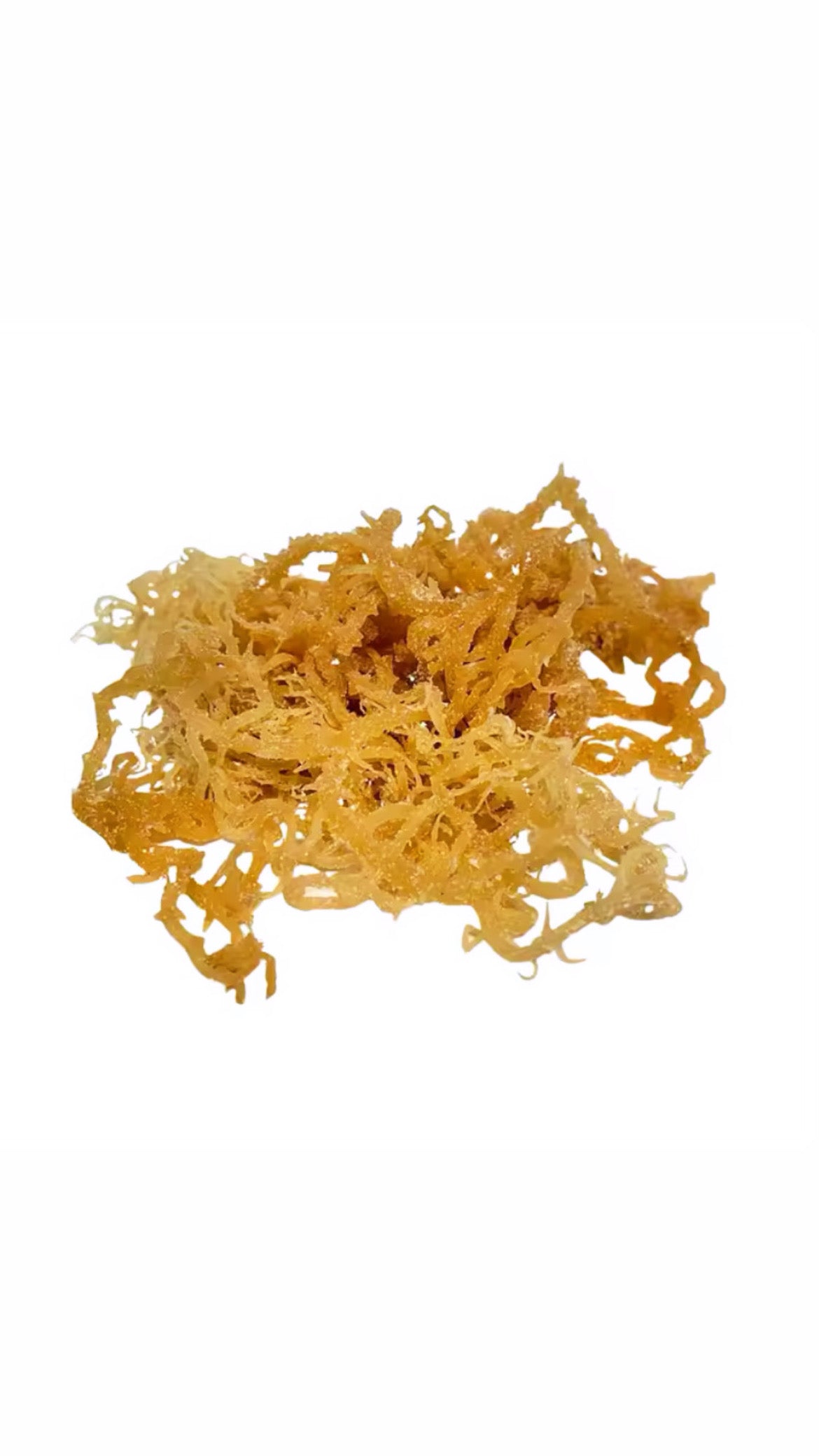 Wildcrated Gold Eucheuma Cottonii Seamoss