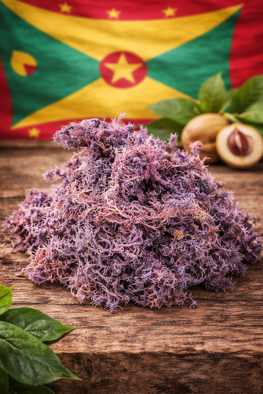 Wildcrafted Gracilaria Purple Seamoss