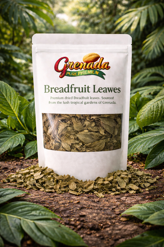 Breadfruit Leaves